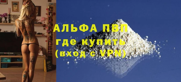 гашик Горняк