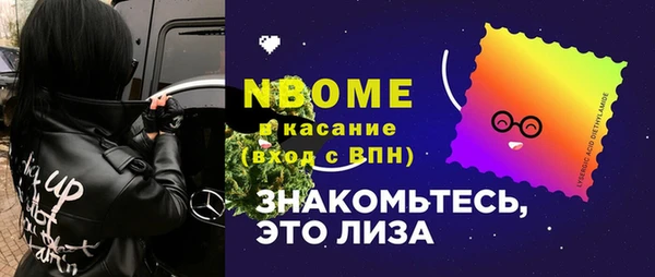 гашик Вязьма