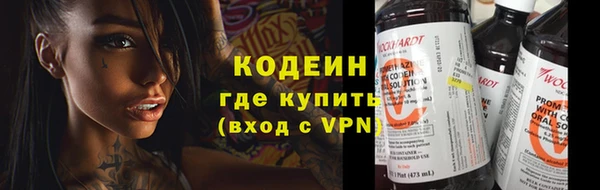 прущие грибы Вяземский
