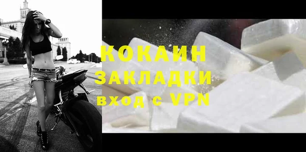 гашик Горняк