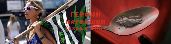 прущие грибы Вяземский