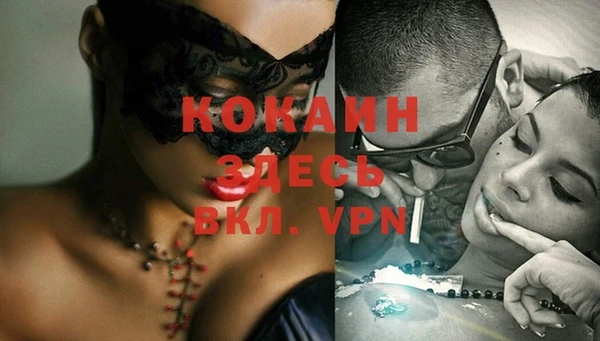 прущие грибы Вяземский