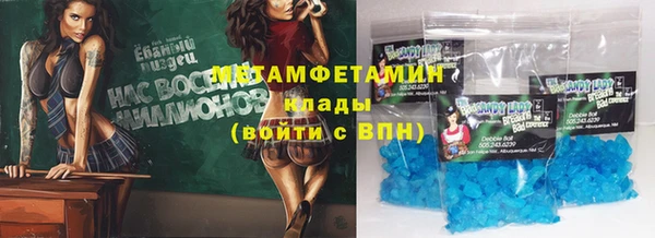 прущие грибы Вяземский