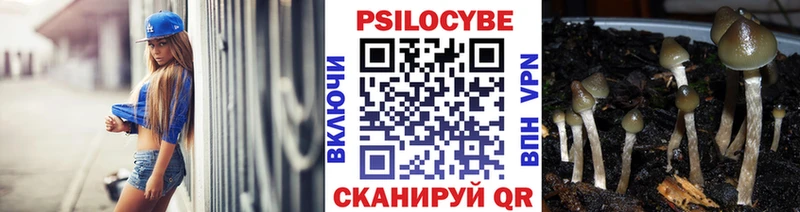 Псилоцибиновые грибы GOLDEN TEACHER  Купить где  Холм 
